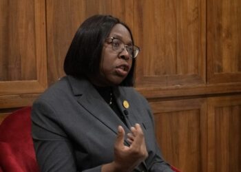 Mozambican Prime Minister Highlights Global and Bilateral Progress on Women’s Development at Beijing Forum