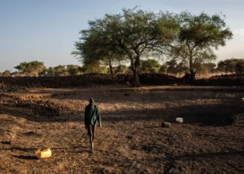 Sudan’s Famine Deepens as Siege Blocks Humanitarian Aid