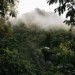 How Africa’s Grand Carbon Credit Deals with Blue Carbon Unravelled Behind Closed Doors