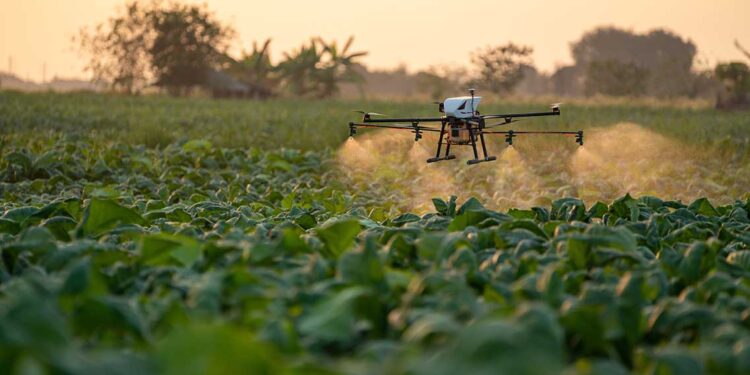 Namibia Charts Sovereign Digital Future with Inclusive Infrastructure and Policy Reforms