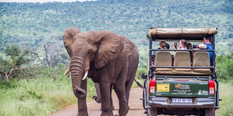 Southern Africa’s Safari Tourism Industry Forecasted to Approach $30 Billion by 2033