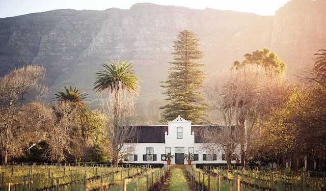 South African Wine Estates Gain Global Recognition in 2025 World’s Best Vineyards Ranking
