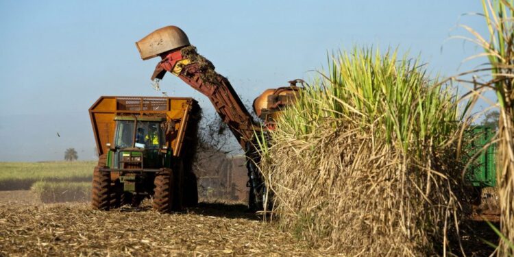 Kenya Concludes Two Decades of Sugar Import Safeguards within COMESA Framework