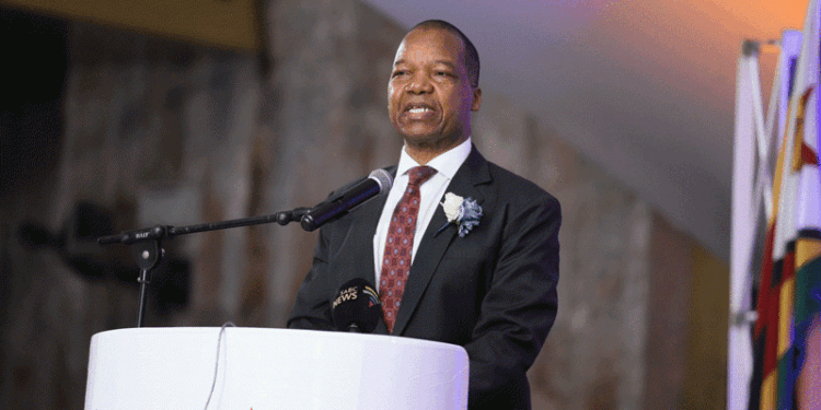 Zimbabwe’s Mutapa Investment Fund Moves to Modernise State Assets