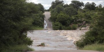 Kruger National Park Closes as Severe Floods Devastate Northern South Africa