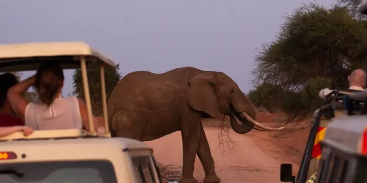 Kenya’s Neighbours See Greater Gains from East African Tourism Protocol