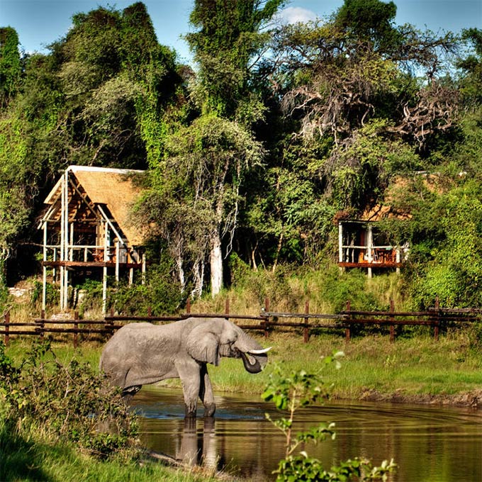 10 Affordable African Safari Destinations for 2026
