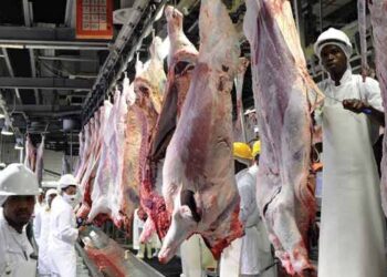 United Kingdom Restricts Botswana Red Meat Imports Following Foot and Mouth Outbreak