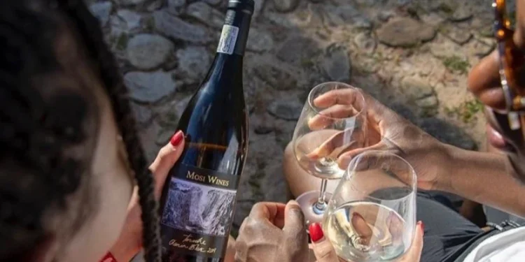 US Tariffs Raise Cost of South African Wine in America