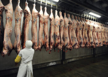 EU Suspends Some Botswana Beef Imports After Foot and Mouth Disease Outbreak