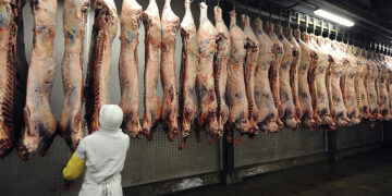 EU Suspends Some Botswana Beef Imports After Foot and Mouth Disease Outbreak