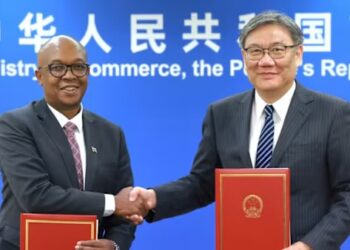 China zero tariff policy seen to deepen South Africa trade ties