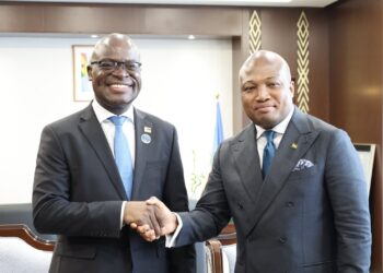 Ghana and Zimbabwe formalise bilateral framework ahead of Mnangagwa visit