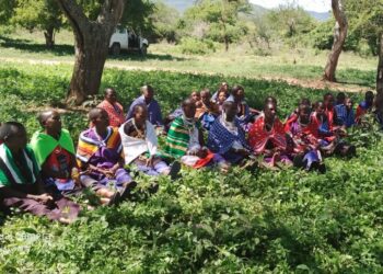 Ugandan farmers pursue legal challenge in London over East African Crude Oil Pipeline