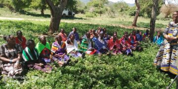 Ugandan farmers pursue legal challenge in London over East African Crude Oil Pipeline