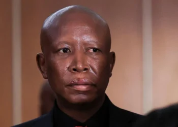 Julius Malema Sentenced to Five Years in Firearm discharge case