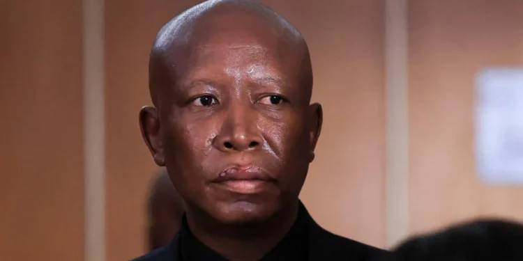 Julius Malema Sentenced to Five Years in Firearm discharge case