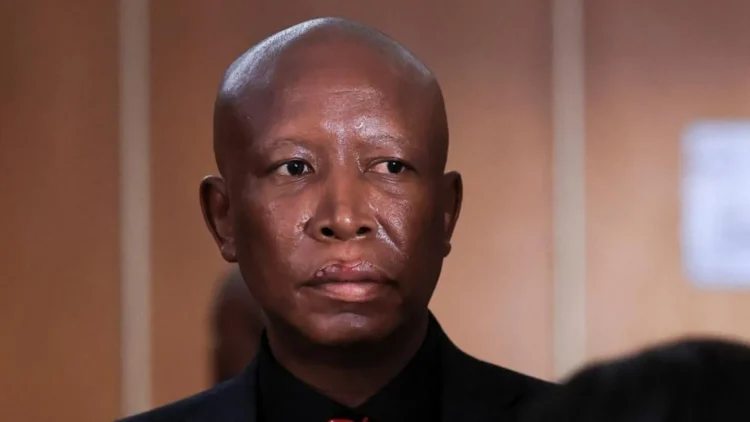 Julius Malema Sentenced to Five Years in Firearm discharge case