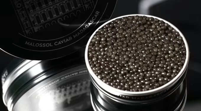 Africa’s emerging caviar industry signals a shift in global luxury food production