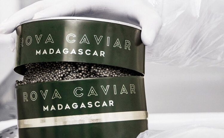Africa’s emerging caviar industry signals a shift in global luxury food production