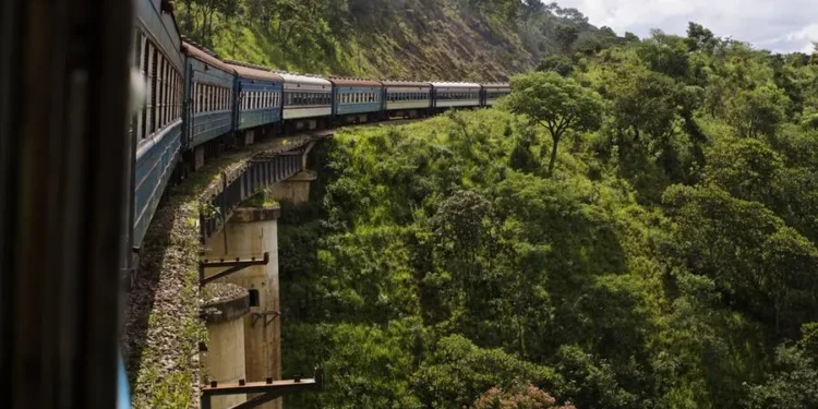 Investors pledge over $1.3bn towards Zambia–Angola rail corridor