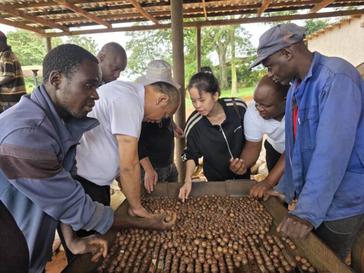 China’s zero tariff policy signals recalibration in Africa trade relations