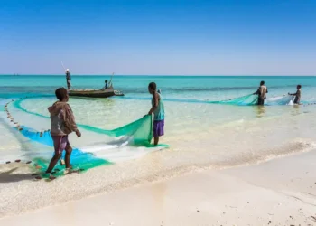 Africa’s Waters Under Siege: Foreign Fleets and the Fight for the Blue Economy