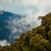 Rwanda Tourism Revenue Reaches 685 Million US Dollars as Sector Expands in 2025