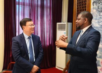 How China-Africa Cooperation Can Accelerate Africa’s Industrialisation