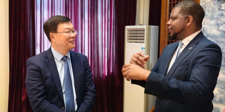 How China-Africa Cooperation Can Accelerate Africa’s Industrialisation