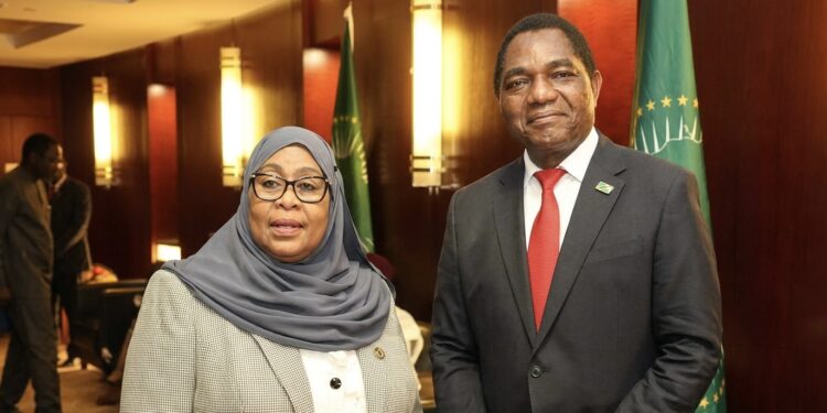 Tanzania, Zambia Move to Ease Trade Barriers