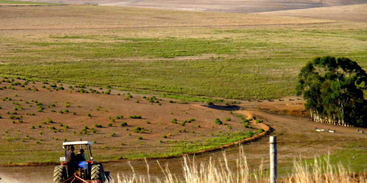 Farmers Welcome Fuel Relief but Warn of Supply Risks