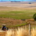 Farmers Welcome Fuel Relief but Warn of Supply Risks