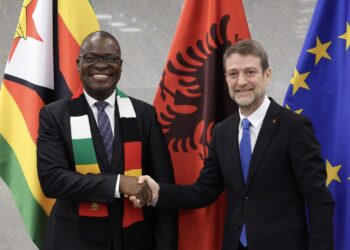 Zimbabwe steps up UN Security Council bid in Eastern Europe