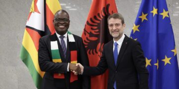 Zimbabwe steps up UN Security Council bid in Eastern Europe