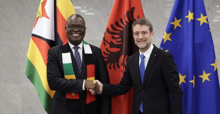 Zimbabwe steps up UN Security Council bid in Eastern Europe