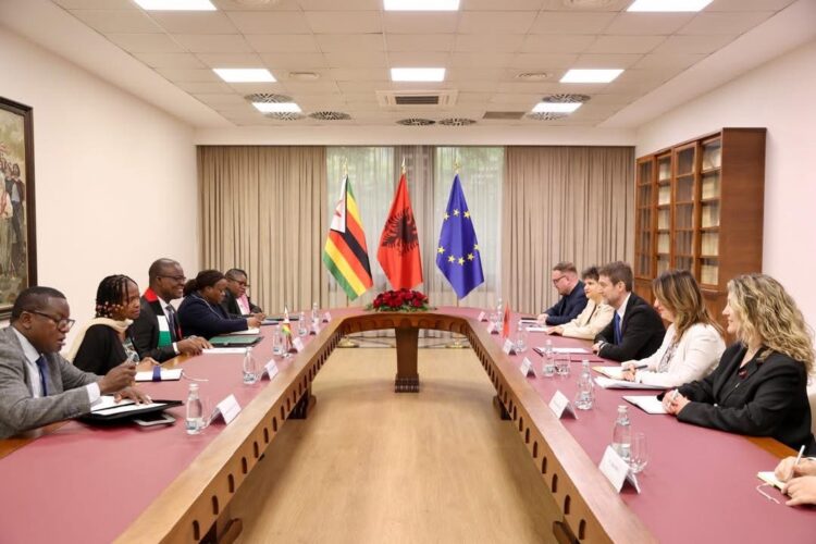 Zimbabwe steps up UN Security Council bid in Eastern Europe