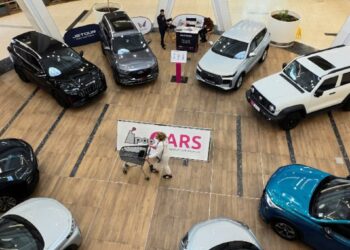 Chinese Carmakers Gain Ground in South Africa Market