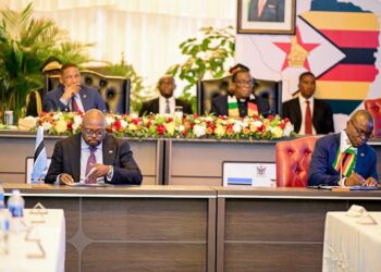 Zimbabwe and Botswana Plan Passport Free Travel