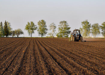 SA’s agriculture is growing, but is it working for everyone?