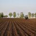 SA’s agriculture is growing, but is it working for everyone?