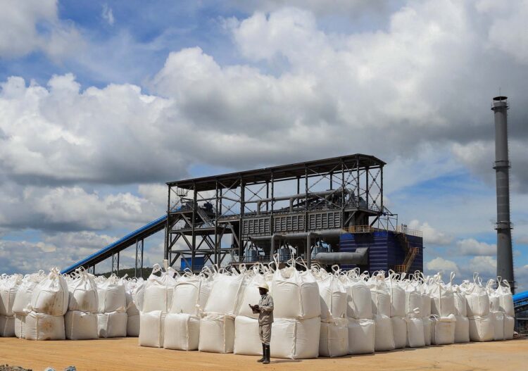 Zimbabwe Signals Review of Lithium Export Quotas as Processing Capacity Expands