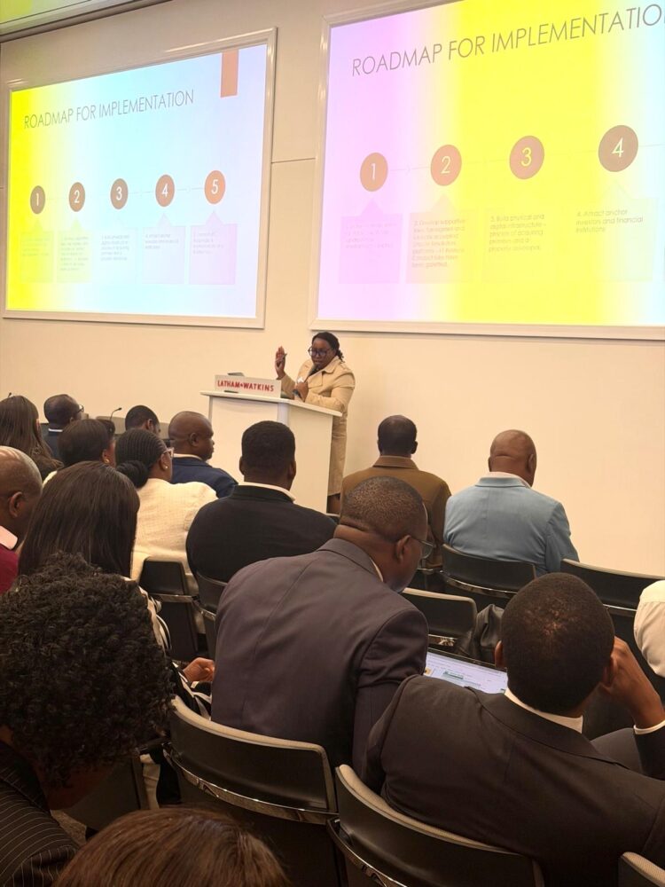 Victoria Falls Financial Centre Positioned as Gateway for Global Capital into Africa