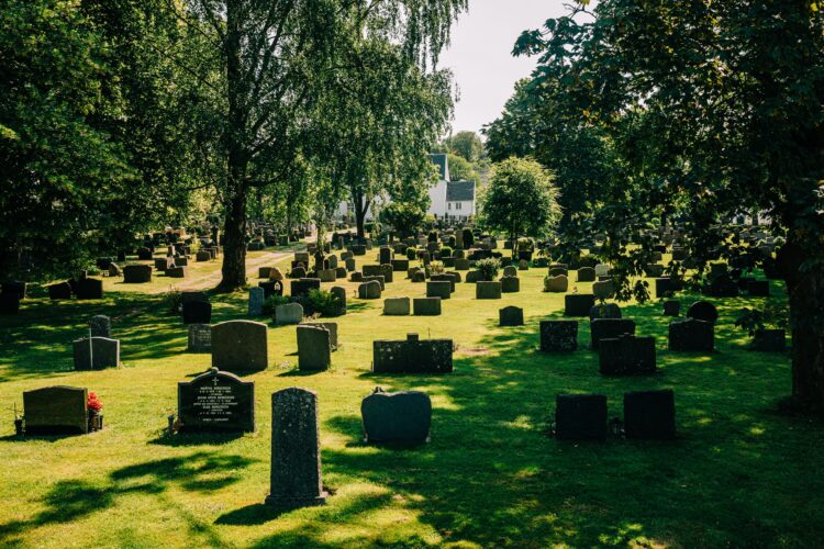 Watervlei Memorial Park Set to Redefine Burial Services in Zimbabwe