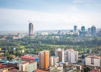 Kenya’s foreign exchange reserves reach record US$14 billion as external buffers strengthen