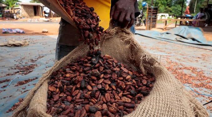 Coffee and Cocoa Prices Surge as Markets Reprice Weather Risks Ahead of Expected El Niño