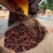 Coffee and Cocoa Prices Surge as Markets Reprice Weather Risks Ahead of Expected El Niño