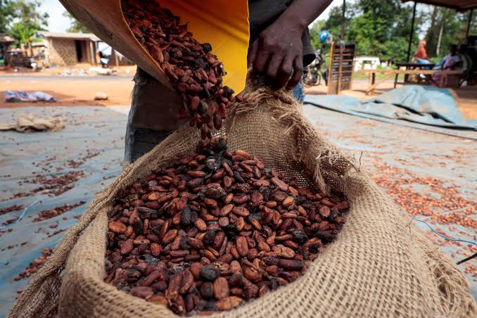Coffee and Cocoa Prices Surge as Markets Reprice Weather Risks Ahead of Expected El Niño
